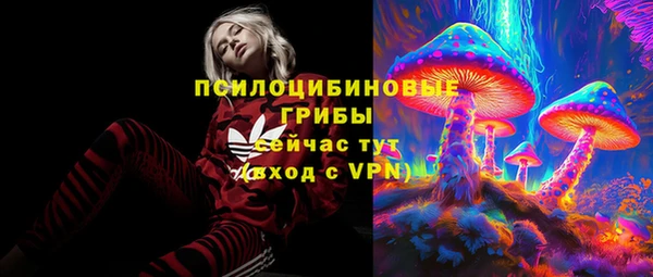 дурь Алексин